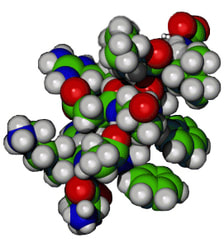 Thujone (Wormwood) Molecule